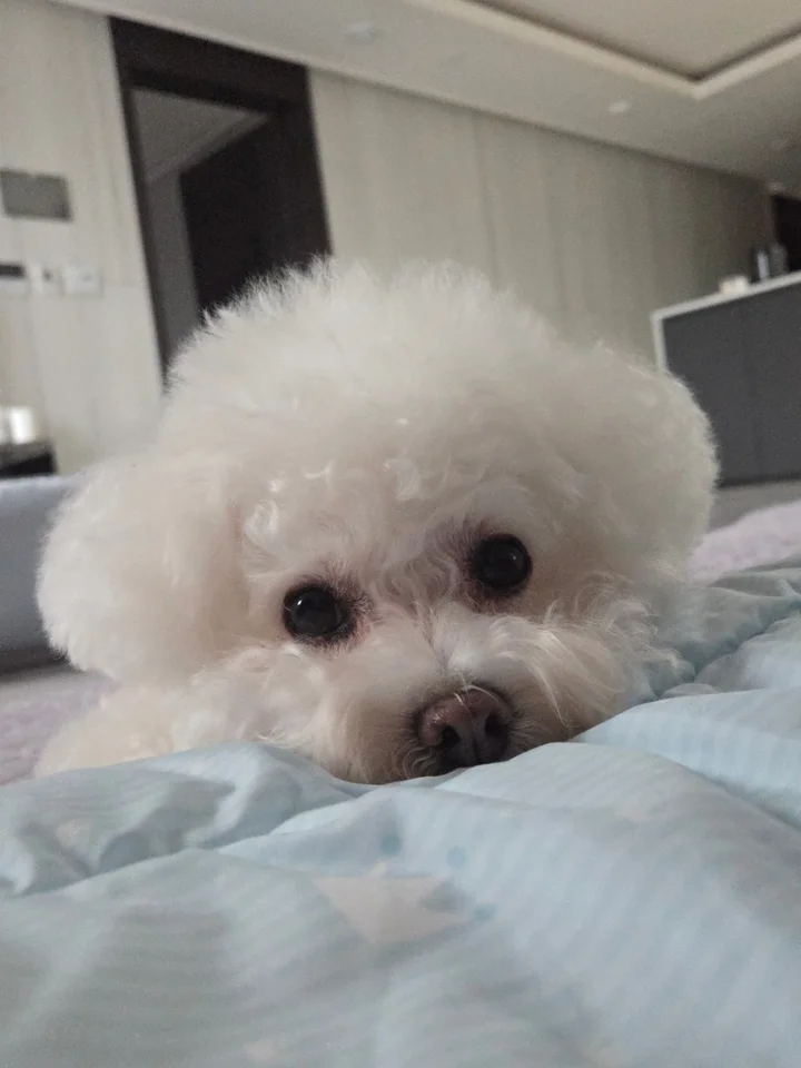 하리 2