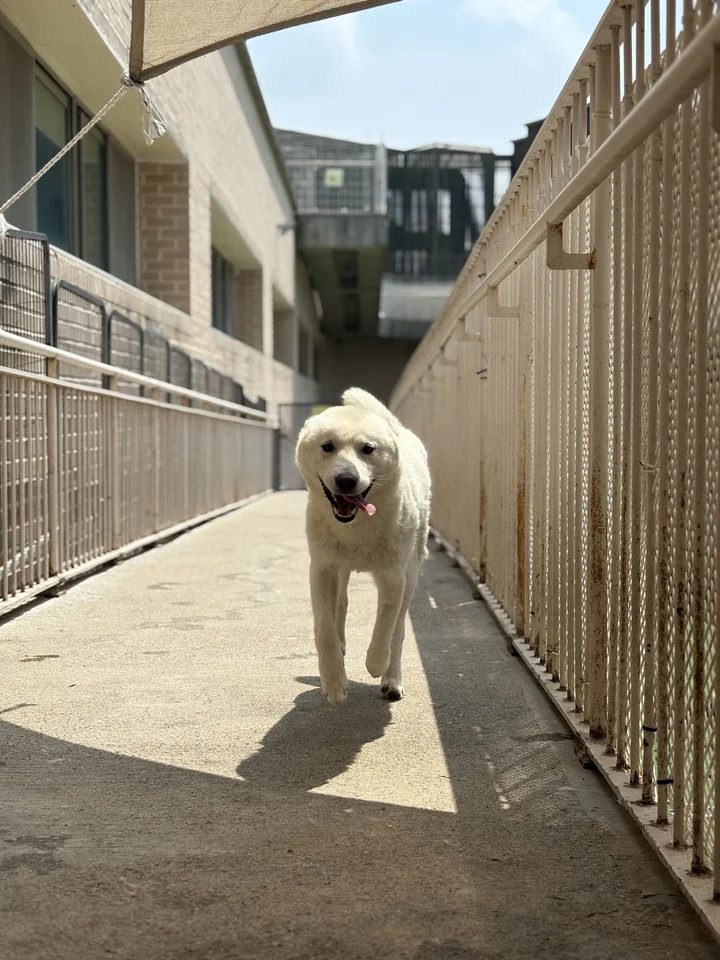 강낭 5