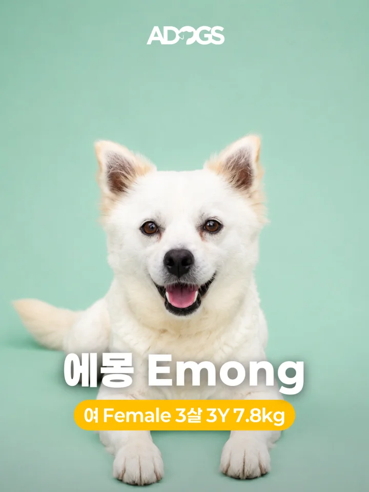 에몽 1