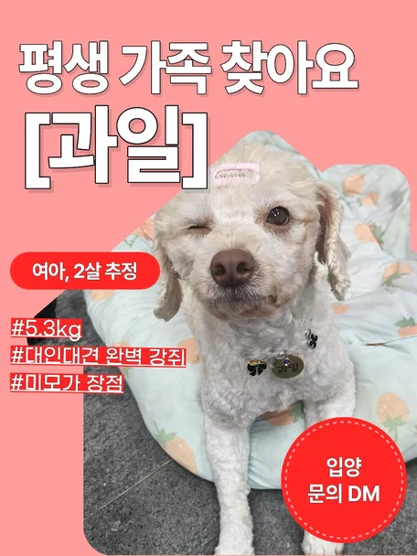 과일
