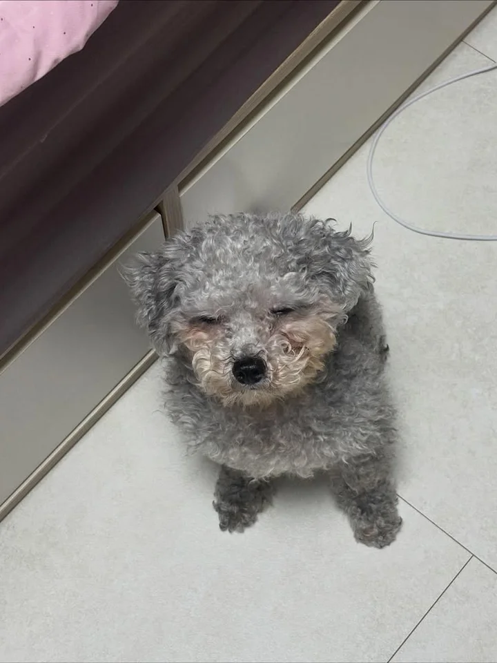 황동이 6