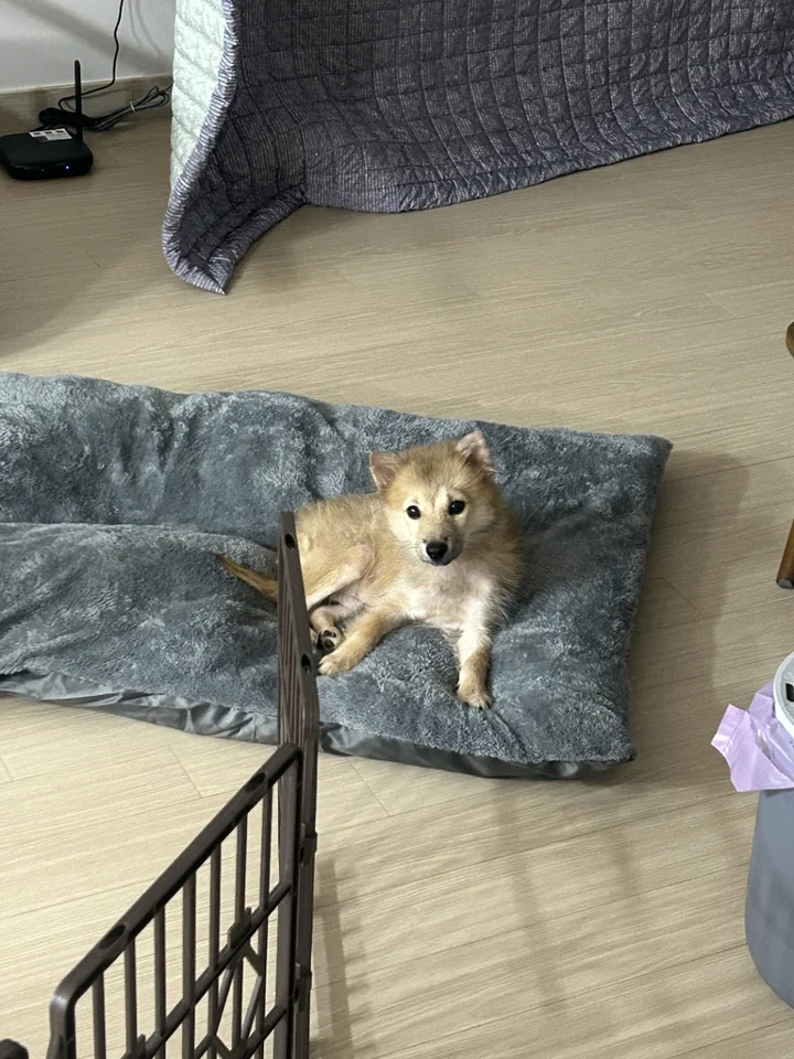 구만 6