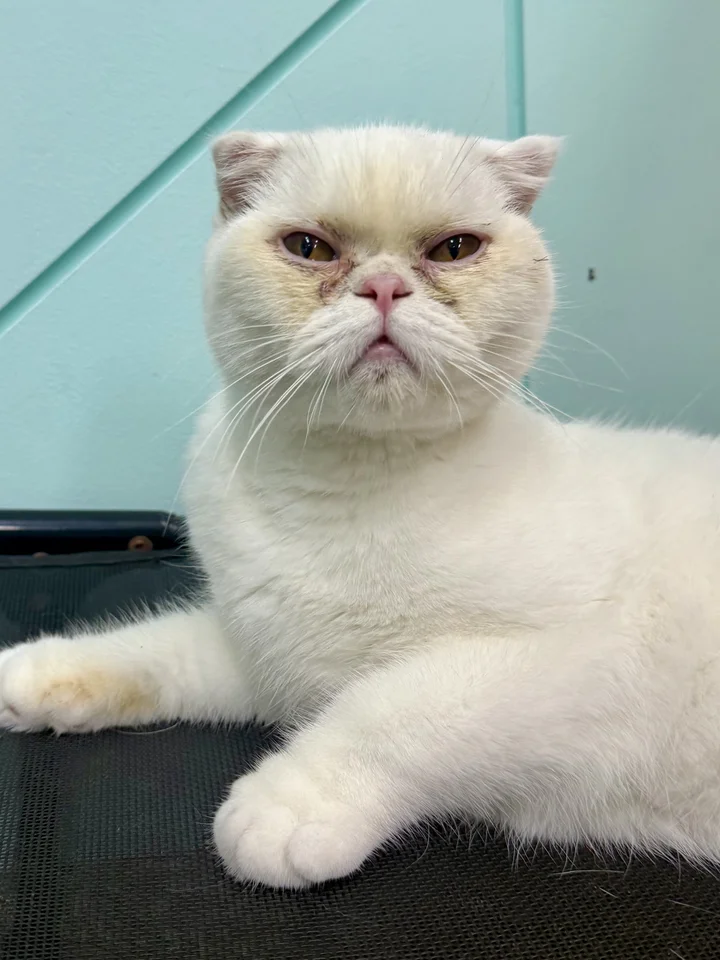 온유 2