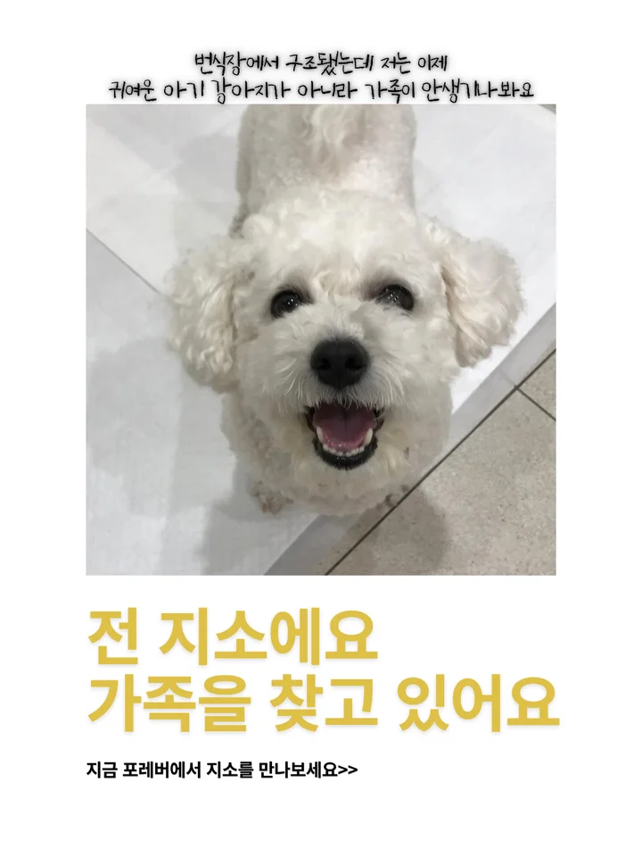 지소 1