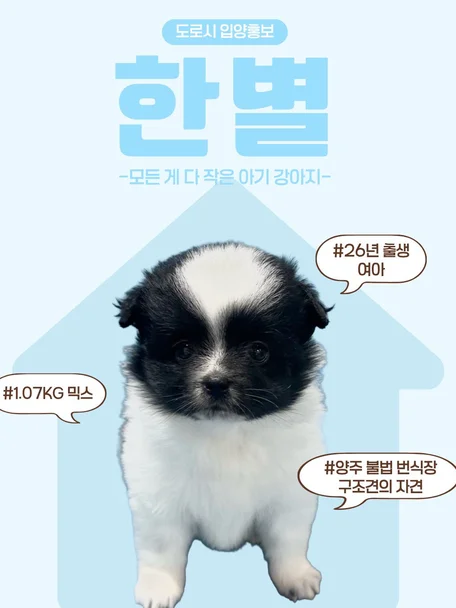 한별