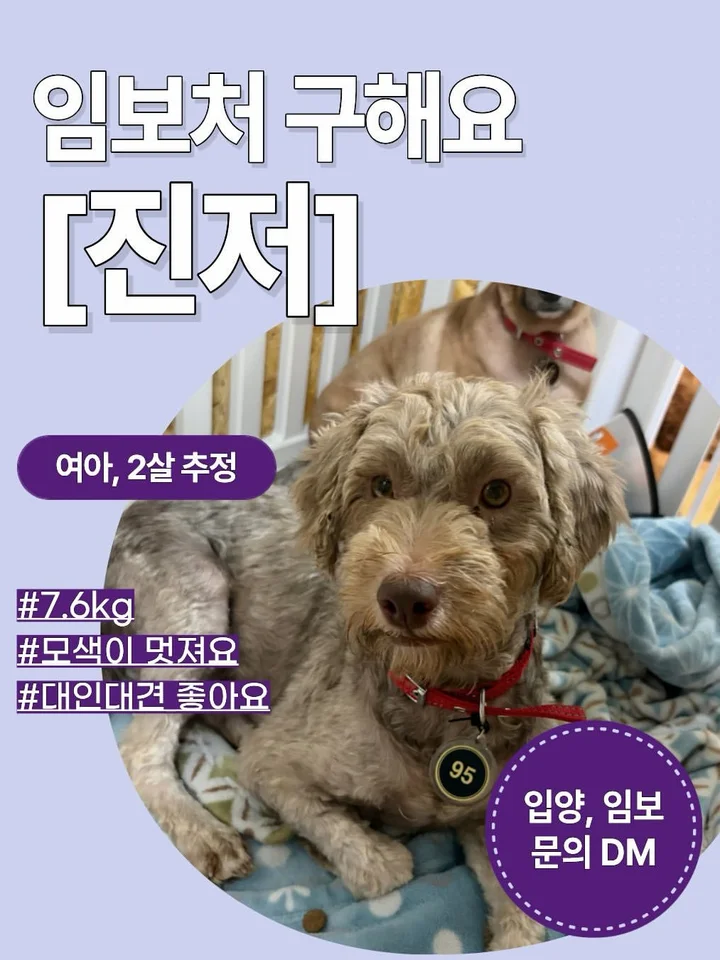 진저 1