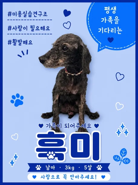 흑미