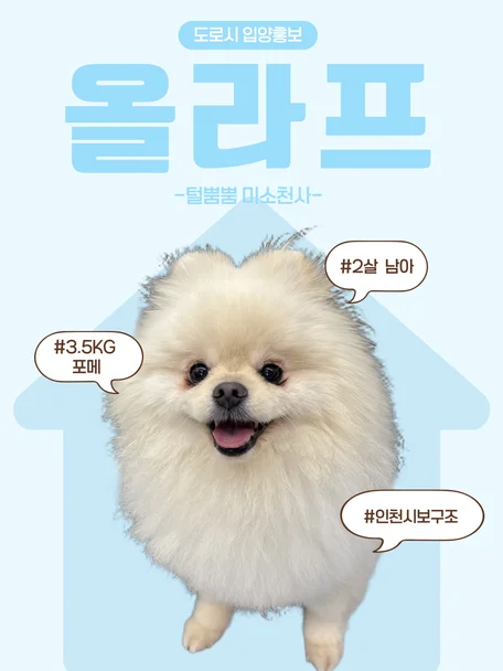 올라프
