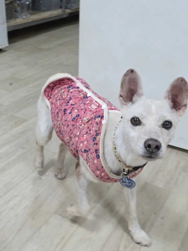 포근 6