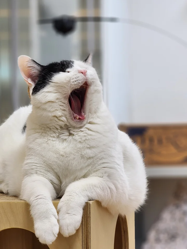 올녀 5
