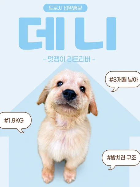 데니