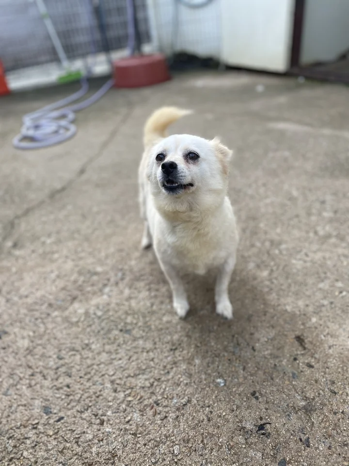 에몽 2