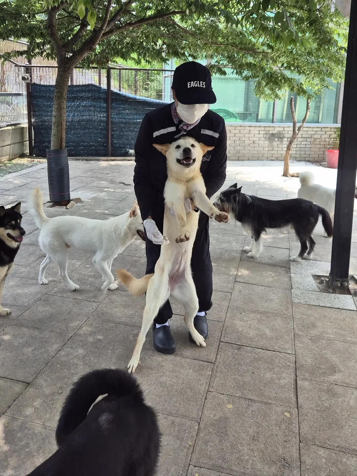 자랑 14