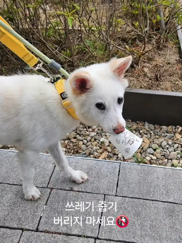 벨 7