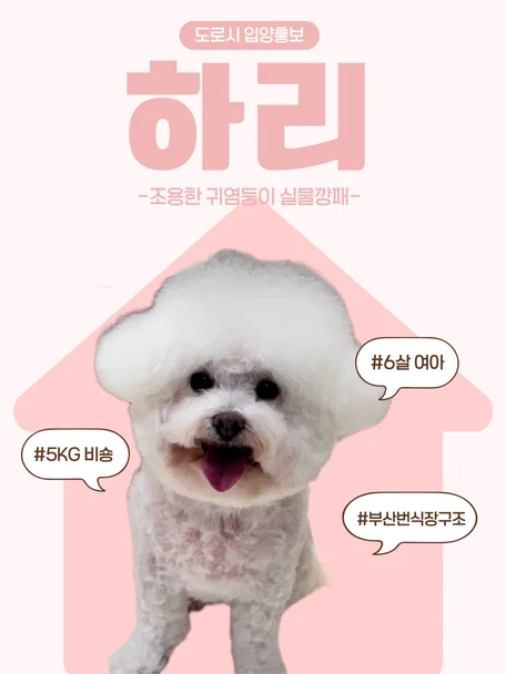 하리