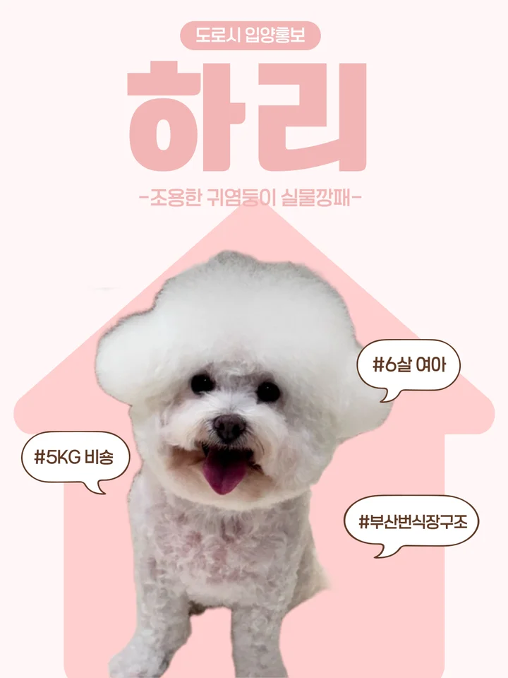 하리 1
