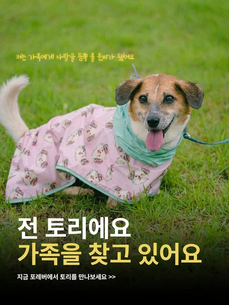 토리