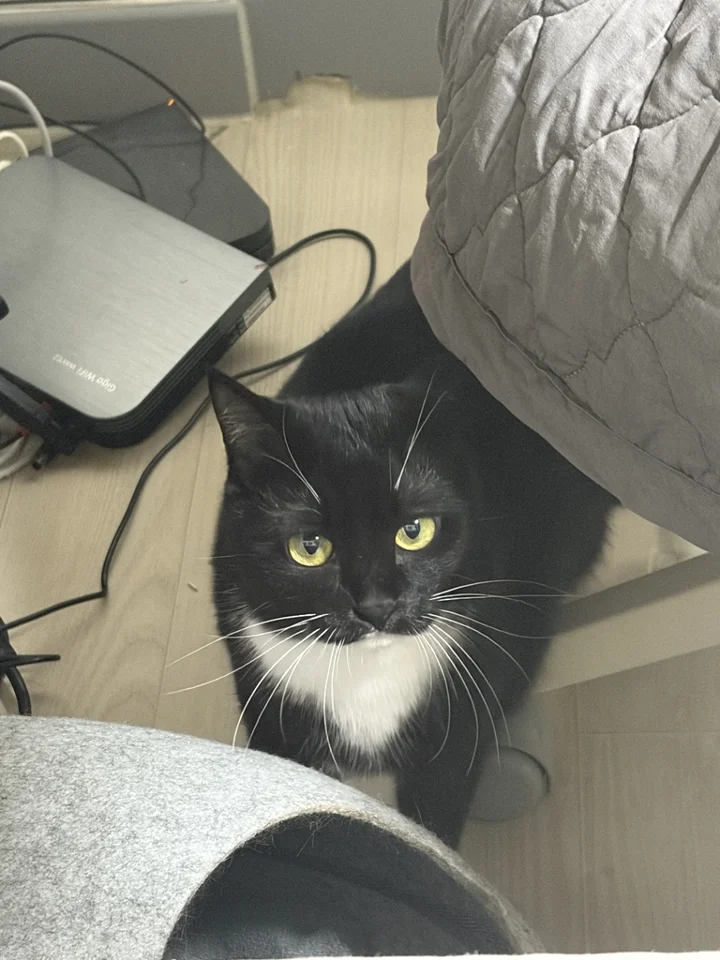 지지 7