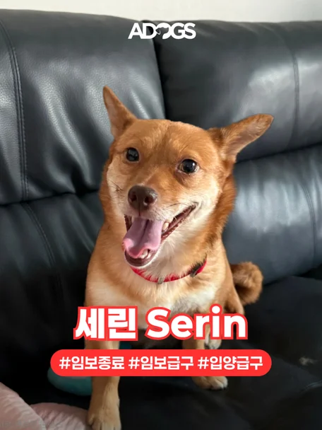 세린