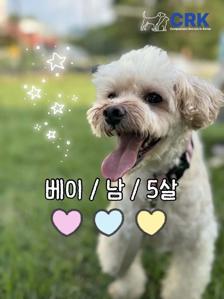 베이 1