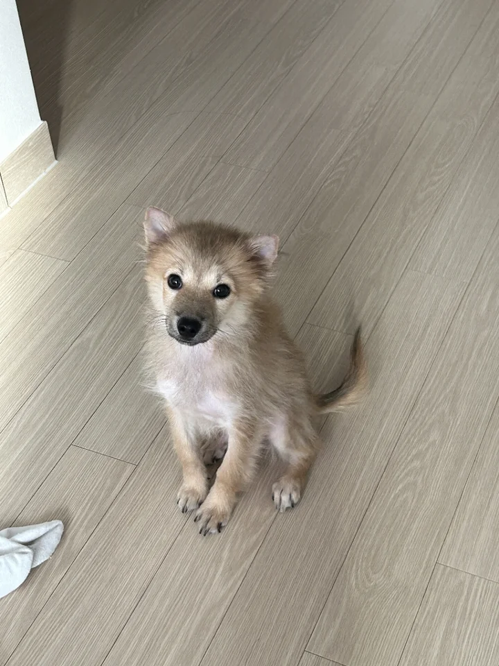 구만 3