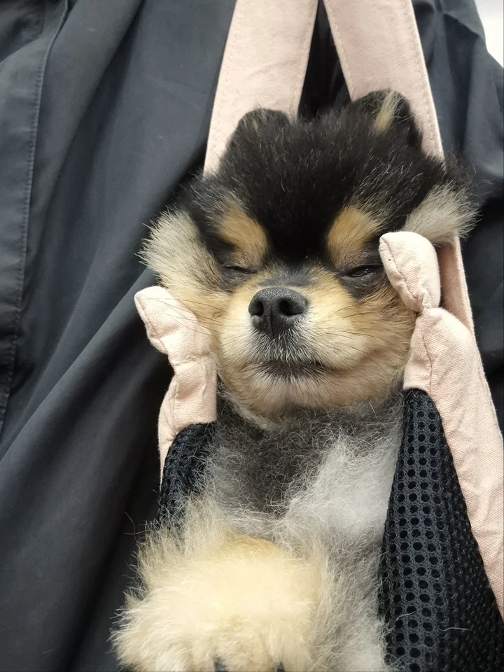 망치 9