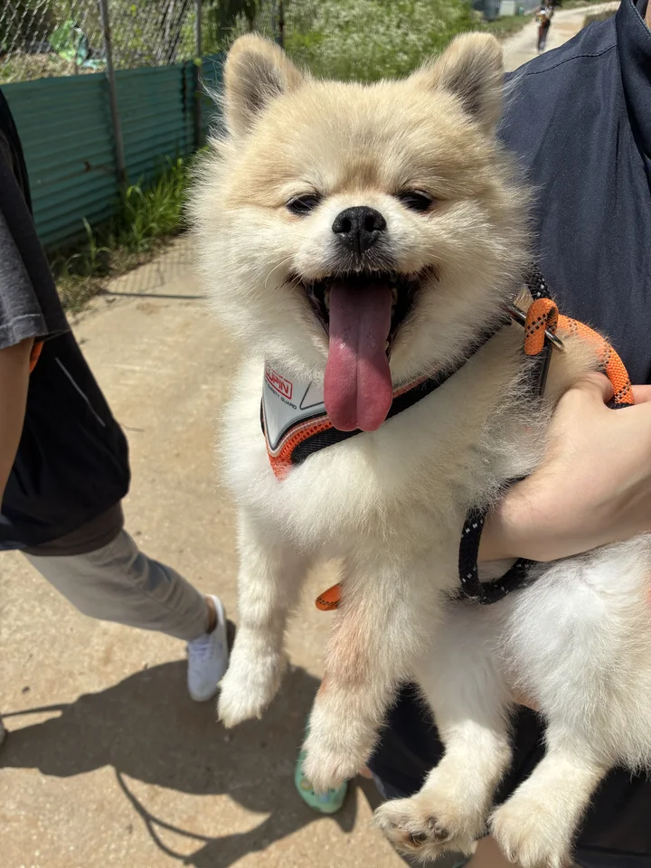유키 8