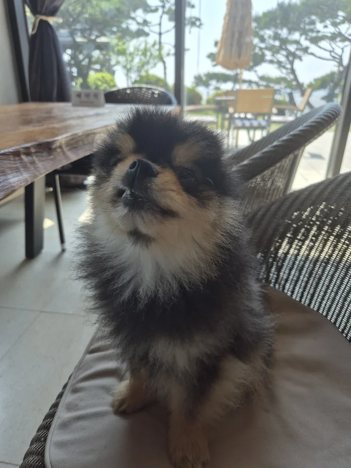 망치 7