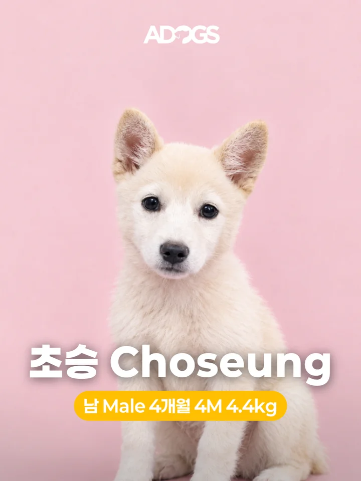 초승 1