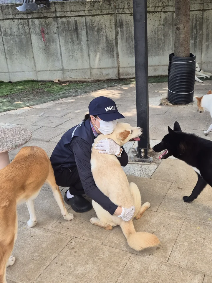 자랑 15