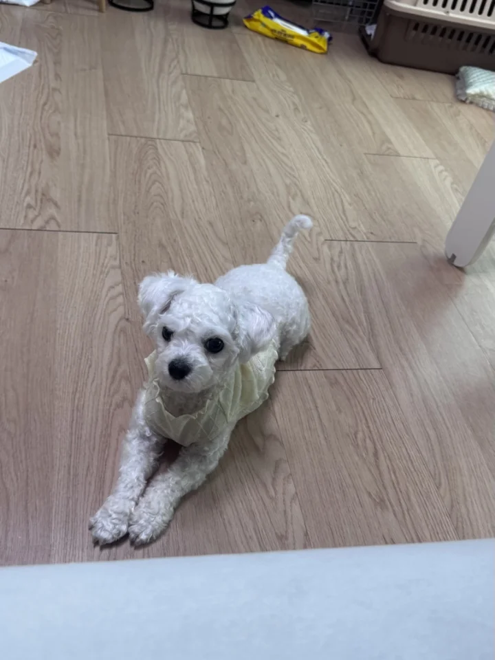 훈이 8