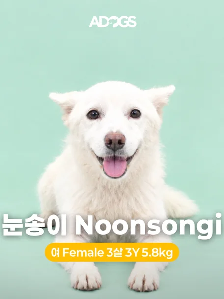 눈송이