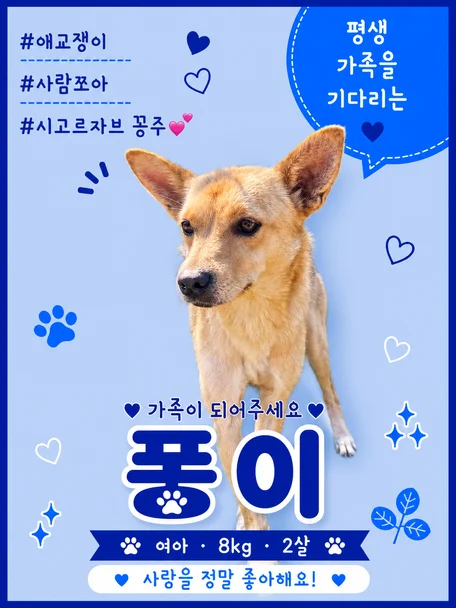 퐁이