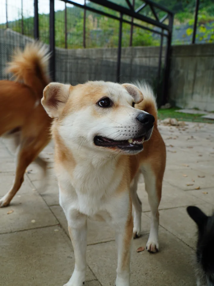 테라 5