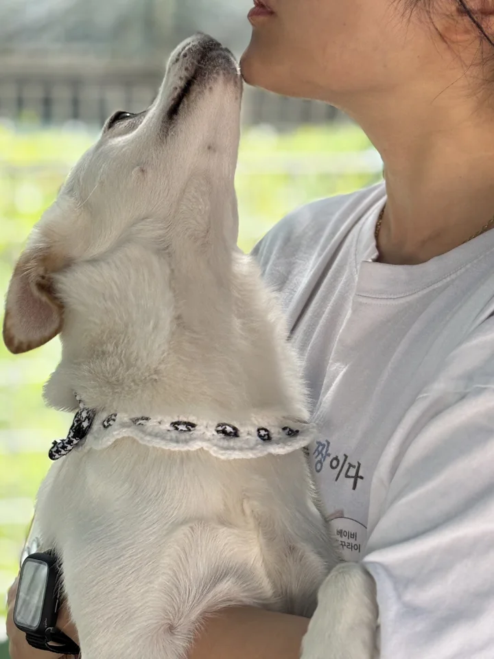 두부 3