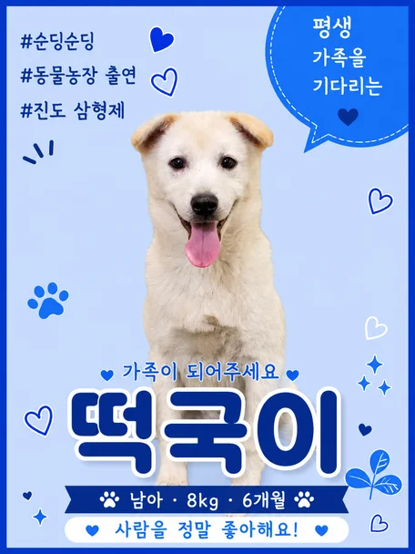 떡국이