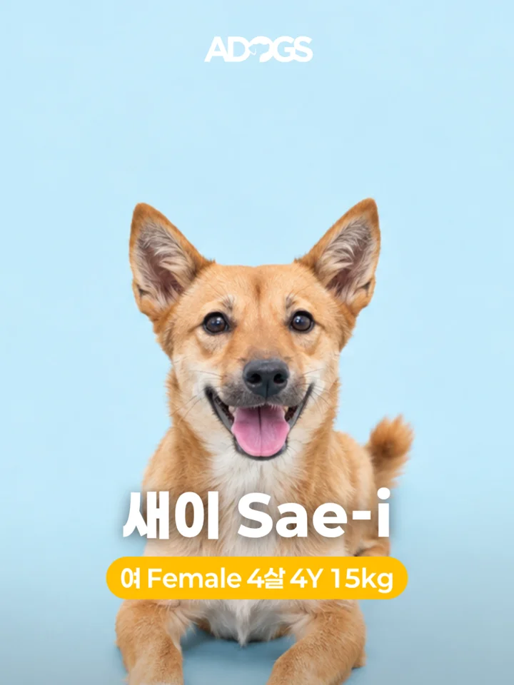 새이 1