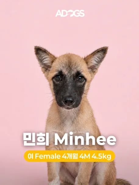 민희