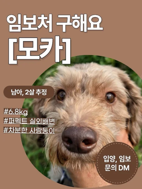 모카