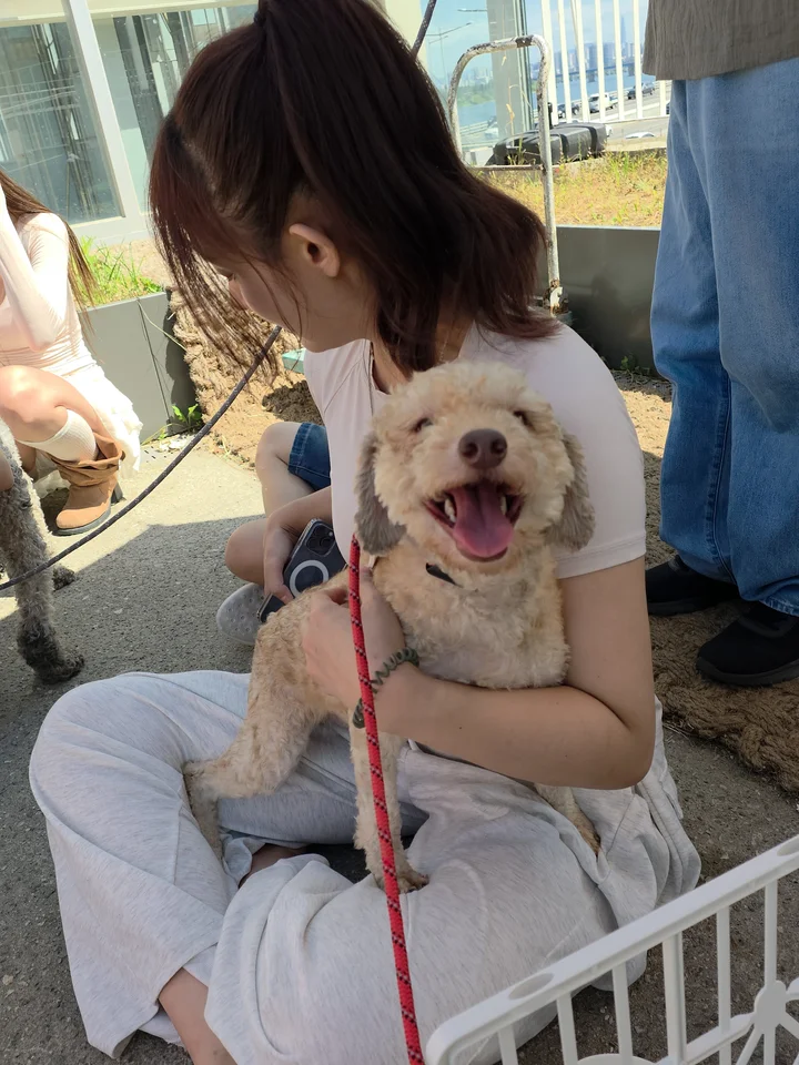 루카 3