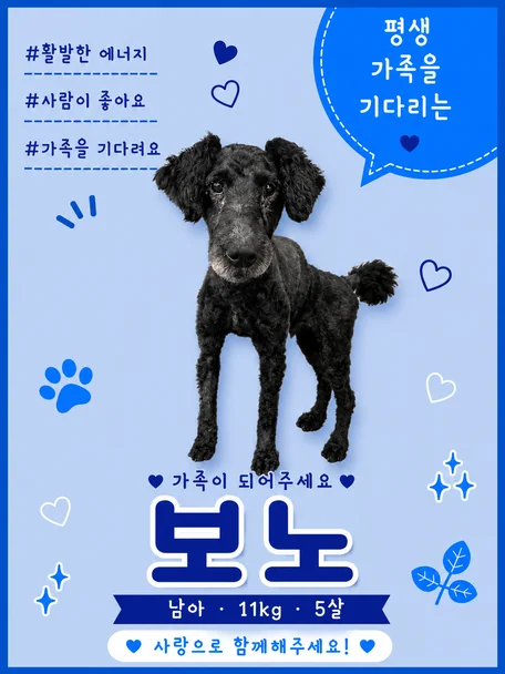 보노