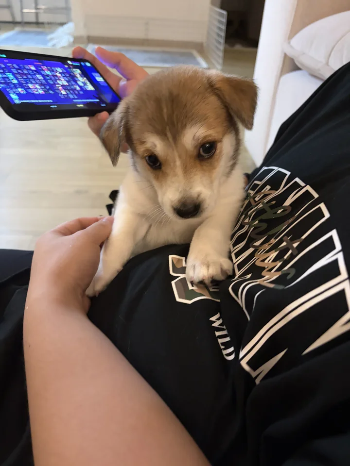 오곡 3