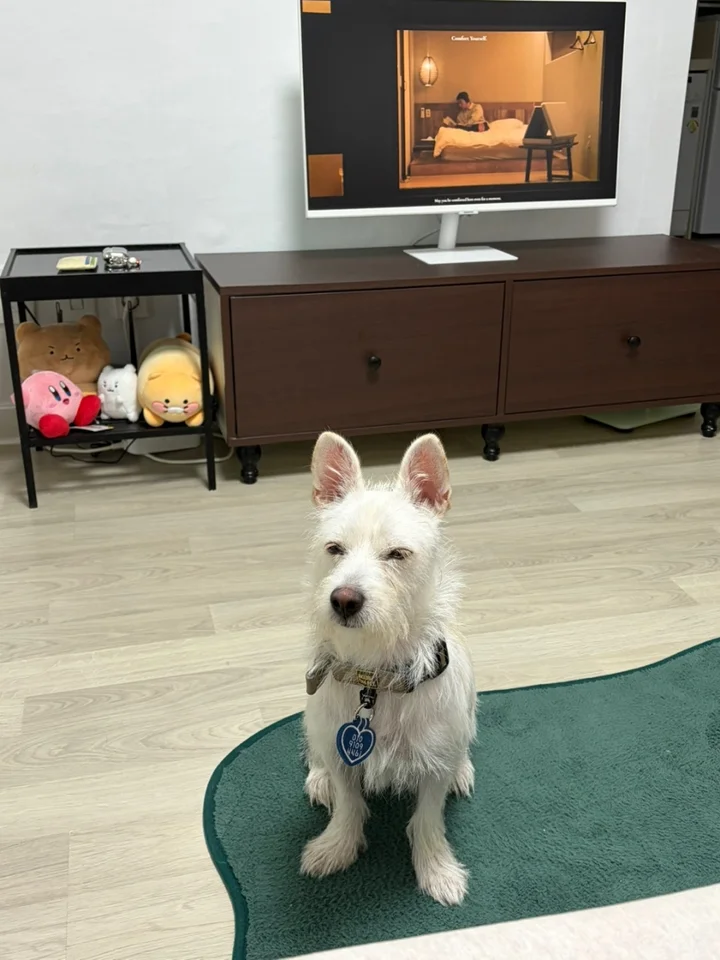 찬란 4