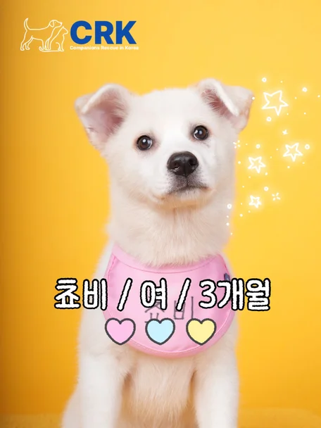 쵸비
