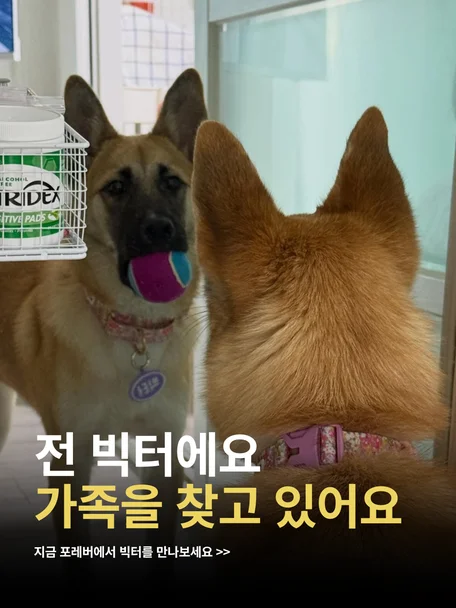 빅터