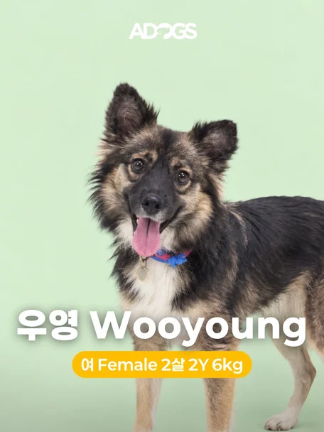 우영