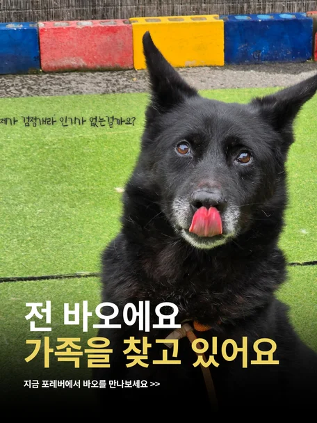 바오