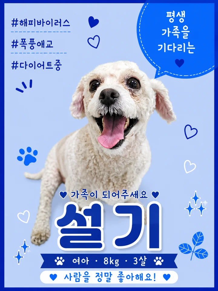설기 1