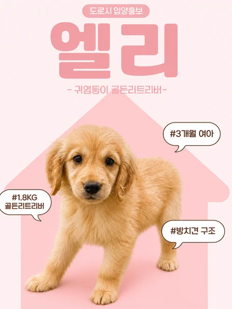 엘리