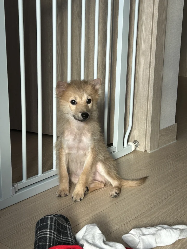구만 2